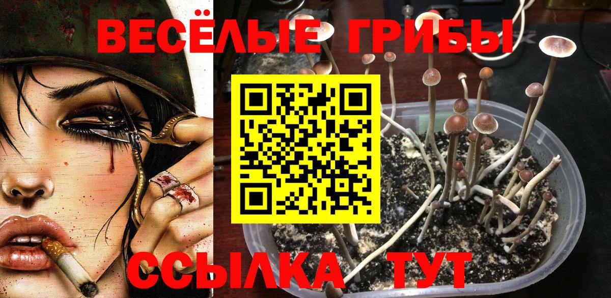 Галлюциногенные грибы Magic Shrooms  Псилоцибиновые грибы Psilocybine cubensis  Вход с VPN  Егорьевск 