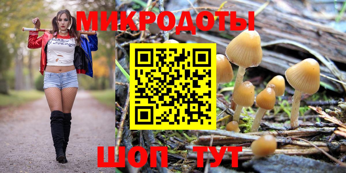 Галлюциногенные грибы ЛСД Егорьевск